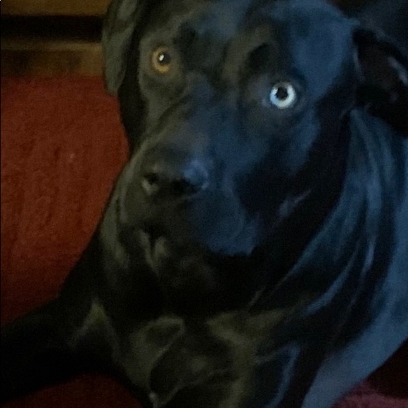 Meet your Posher, Debbie.Handmade jewelry - Picture 9 of 17